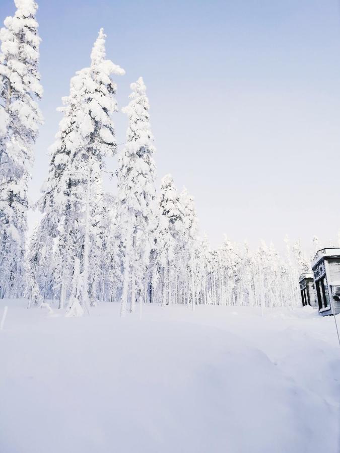 Levi Sky Igloo With Private Sauna And Hot Tub ภายนอก รูปภาพ